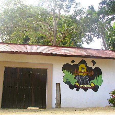 Jumanji Palomino Exterior foto